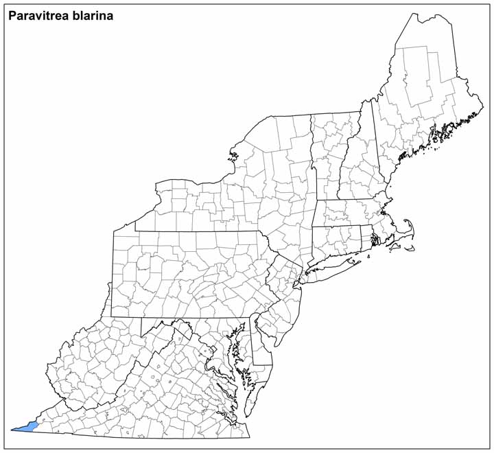 Paravitrea blarina Range Map